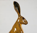 The Libeen Hare