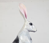 The White Hare