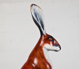 Lepus Plumbum