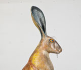 The Irish Hare